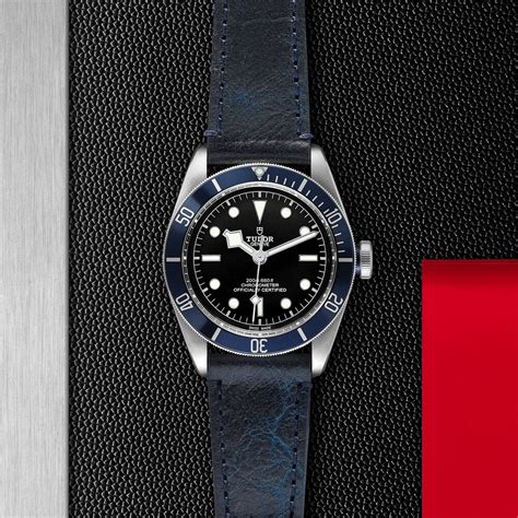 tudor selfwinding blu|TUDOR Black Bay Selfwinding Mechanical 41mm .